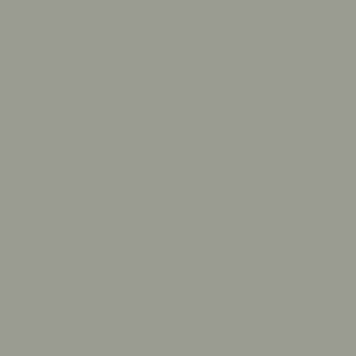 Панель ДСП Kastamonu D259 Ash Green Kastamonu